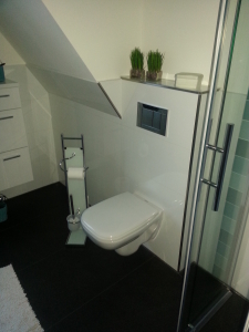 Badezimmer 10 Toilette Acrylglas